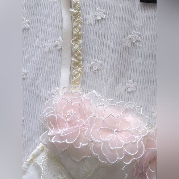 US-32C Japanese 3D Sakura Layers Floral Embroidered Bra & Panty Set Cute Pink - Picture 6 of 15